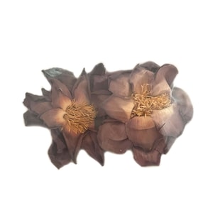 Organic Sacred Pink Lotus Flowers (2 Pack) - Dried Nelumbo Nucifera