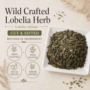 Lobeliaört | Lobelia inflata | Skuren och siktad botanisk ingrediens | Vildtillverkad