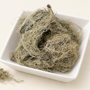 May include: A square white ceramic bowl filled with a tangled mass of dried, pale green-gray Spanish moss. A small, separate cluster of the same fibrous, thread-like plant material sits to the lower left of the bowl on a plain, light-colored surface.