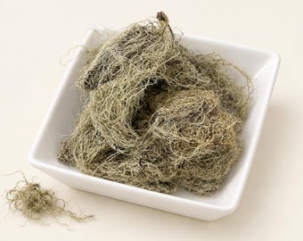 May include: A square white ceramic bowl filled with a tangled mass of dried, pale green-gray Spanish moss. A small, separate cluster of the same fibrous, thread-like plant material sits to the lower left of the bowl on a plain, light-colored surface.