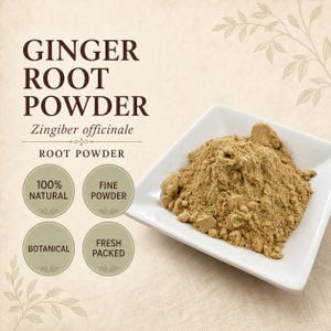 Ginger Root Powder | Zingiber officinale | Fine Ground Botanical Powder | Wild Crafted image 3