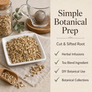 May include: A square white bowl filled with cut and sifted tan root pieces, a wooden scoop, a glass jar of root, and a glass tea infuser. Text reads: Simple Botanical Prep, Cut & Sifted Root, Herbal Infusions, Tea Blend Ingredient, DIY Botanical Use, Botanical Collections.