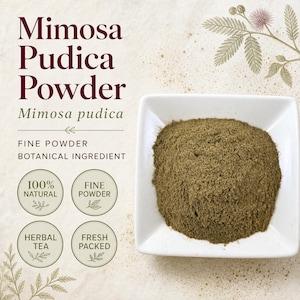 Mimosa Pudica Powder | Sensitive Plant | Fine Ground Botanical Ingredient | Wild Crafted