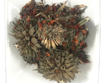 Fresh Klip Dagga Flower Tops (Leonotis Nepetifolia) - Pesticide Free