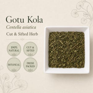 Gotu Kola ört | Centella asiatica | Skuren och siktad örtteingrediens | Vildtillverkad
