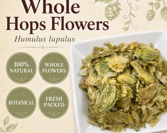 Hops Flowers | Humulus lupulus | Whole Dried Herbal Tea Ingredient | Wild Crafted