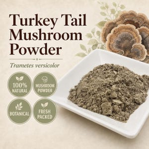 Turkey Tail Mushroom Powder | Coriolus versicolor | Fine Ground Culinary Ingredient