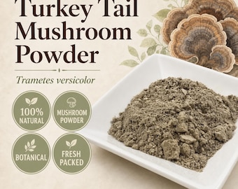 Turkey Tail Mushroom Powder | Coriolus versicolor | Fine Ground Culinary Ingredient