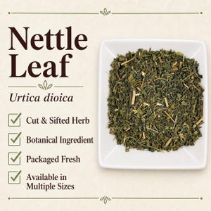 May include: A square white bowl filled with dried, cut, and sifted green nettle leaf, Urtica dioica. The text reads Nettle Leaf, Urtica dioica, Cut & Sifted Herb, Botanical Ingredient, Packaged Fresh, and Available in Multiple Sizes with checkmarks.