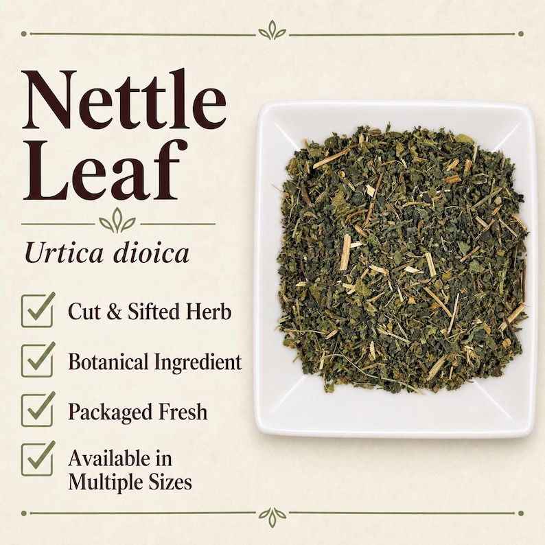 May include: A square white bowl filled with dried, cut, and sifted green nettle leaf, Urtica dioica. The text reads Nettle Leaf, Urtica dioica, Cut & Sifted Herb, Botanical Ingredient, Packaged Fresh, and Available in Multiple Sizes with checkmarks.