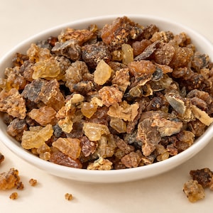 May include: A white ceramic bowl filled with a collection of raw, hardened resin chunks in various shades of amber, brown, and translucent gold. The irregular, jagged pieces of natural tree sap vary in size and texture, with some scattered outside.