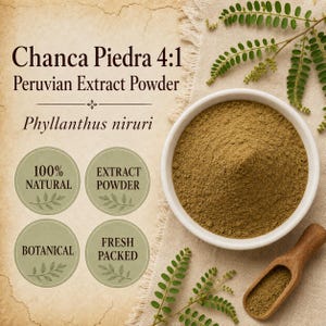 Chanca Piedra Extract 4:1 | Phyllanthus niruri | Wild Harvested Botanical Powder