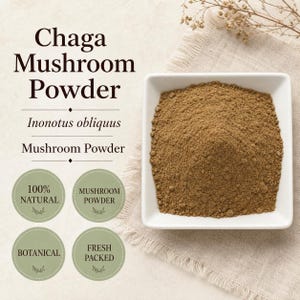 Chaga Mushroom Powder | Inonotus obliquus | Fine Ground Botanical Powder | Wild Crafted