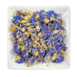 Blue Cornflower Petals: Fresh Hungarian Centaurea Cyanus