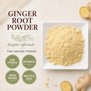 May include: A square white bowl filled with light yellow ginger root powder, accompanied by fresh ginger root pieces. Text reads: GINGER ROOT POWDER, Zingiber officinale, FINE GROUND POWDER, FINE POWDER, BOTANICAL, FRESH PACKED, MULTIPLE SIZES.
