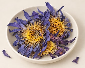 Op de afbeelding: Een witte keramische kom met daarin verschillende gedroogde blauwe lotusbloemen. De bloemen hebben diepblauwe, puntige bloemblaadjes rondom een gestructureerd, goudgeel hart. Twee losse blauwe bloemblaadjes liggen buiten de kom.