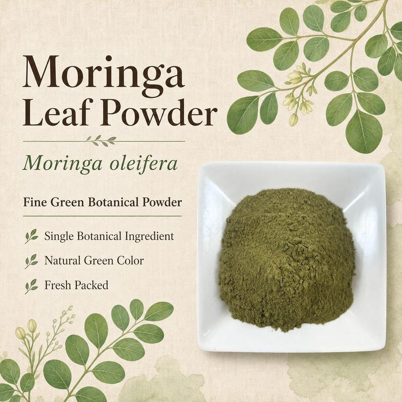 Polvo de hojas de moringa / Moringa oleifera / Ingrediente botánico / Recolectado en la naturaleza imagen 2