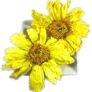 Organic Whole Yellow Lotus Flowers (Nelumbo lutea) - Pesticide Free