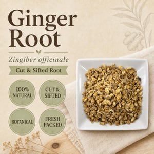 Ginger Root | Zingiber officinale | Cut & Sifted | Tea Ingredient | Wild Crafted