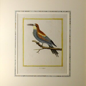 Francois Martinet Original Hand Colored Engraving c. 1770 &quot;Le Guepier&quot;
