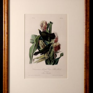 Authentic Antique First Edition John James Audubon octavo
