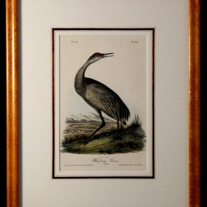 Authentic Antique First Edition John James Audubon octavo