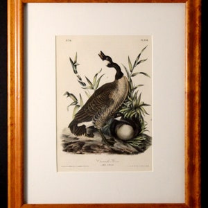 Authentic Antique First Edition John James Audubon octavo