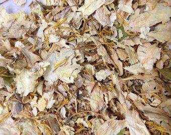 Organic White Lotus Flowers: Sacred Egyptian Water Lily (Cut Bulk)
