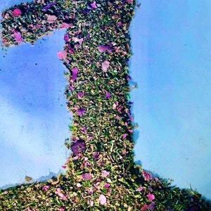 no.1 Damiana Skullcap Mullein Passionflower Leaf Pink Lotus flowers organic herbal blend mix