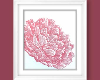 May include: A framed print featuring a detailed, pink peony flower illustration. The artwork is set against a white background within a white frame, with a solid burgundy background. The floral design showcases intricate line work.