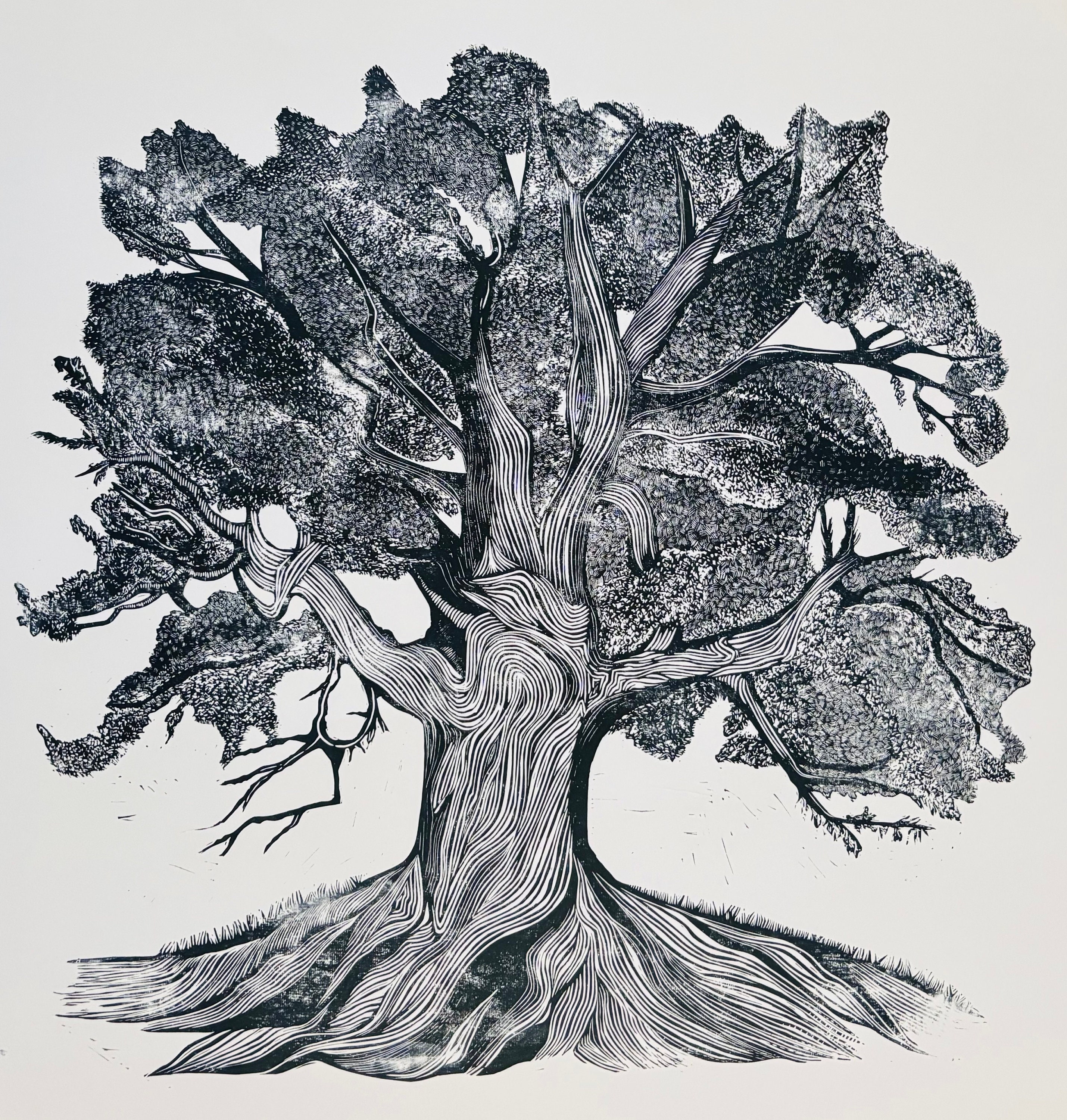 The Grand Old Oak Tree | Limited Edition Linocut Print | Large Tree ...