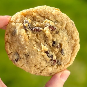 Secret Ingredient Oatmeal Raisin Cookie Recipe/Not Your Grandmas Oatmeal Raisin/Gourmet Cookie Recipes/Cookies/Dessert image 5