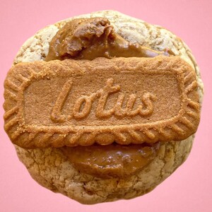 May include: A brown cookie with a layer of brown spread topped with a rectangular brown cookie with the word "Lotus" embossed on it.