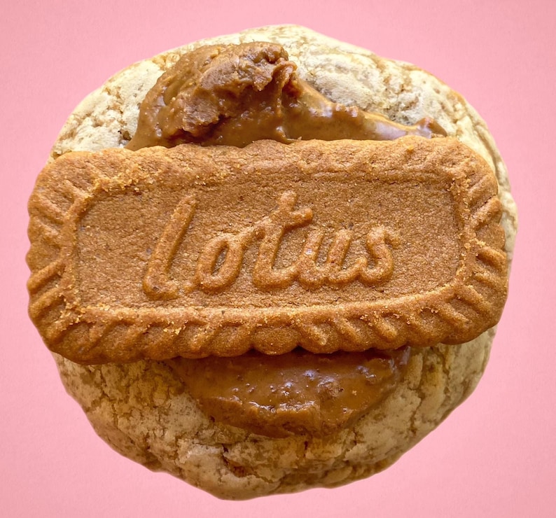 May include: A brown cookie with a layer of brown spread topped with a rectangular brown cookie with the word "Lotus" embossed on it.