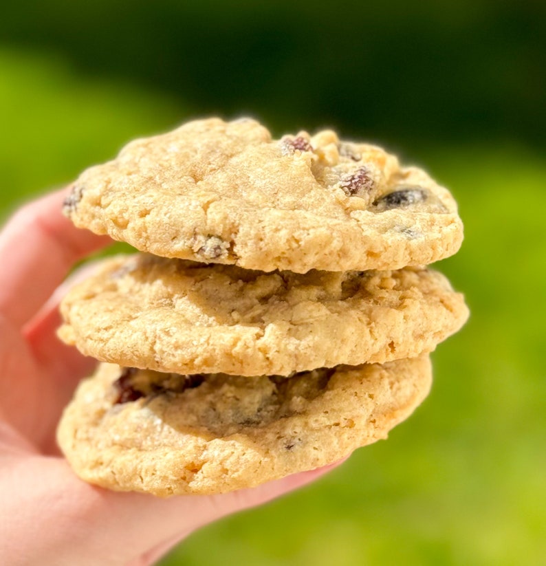 Secret Ingredient Oatmeal Raisin Cookie Recipe/Not Your Grandmas Oatmeal Raisin/Gourmet Cookie Recipes/Cookies/Dessert image 4