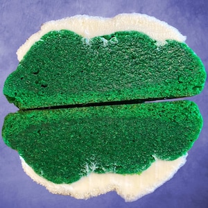May include: A green cake with a white frosting layer on the top and bottom. The cake is cut in half to show the green inside.