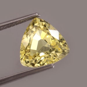 AAA Ceylon Yellow Sapphire: Trillion Cut Gemstone, 10x10 mm