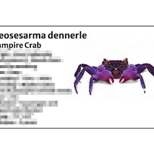 Vampire Crab -Species Tank Identification Cards Waterproof Laminated/Bin Labels