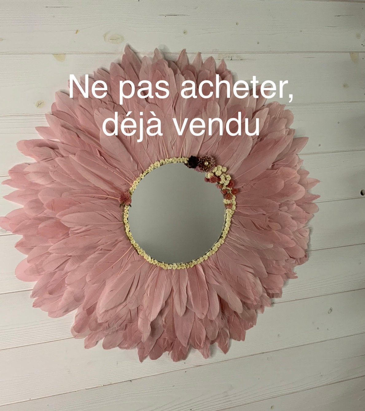 Jujuhat Rose Ne Pas Acheter Déjà Vendu
