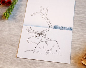 Postcard "Reindeer" . Caribou. Rovaniemi. Finland. Scandinavia. Winter. Snow. Christmas