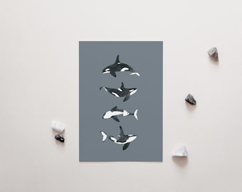 A5 Print "Orca Quartet"