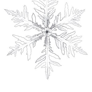 Snowflake Poster, Christmas Poster, Snowflake Art, Holiday Poster, Winter Poster, Snowflake Wall Decor, Minimalist Drawing, Nordic Poster image 10