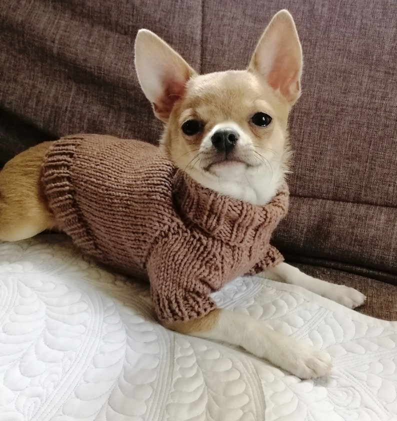 Chihuahua clothes Puppy clothes Chihuahua sweater XXS dog