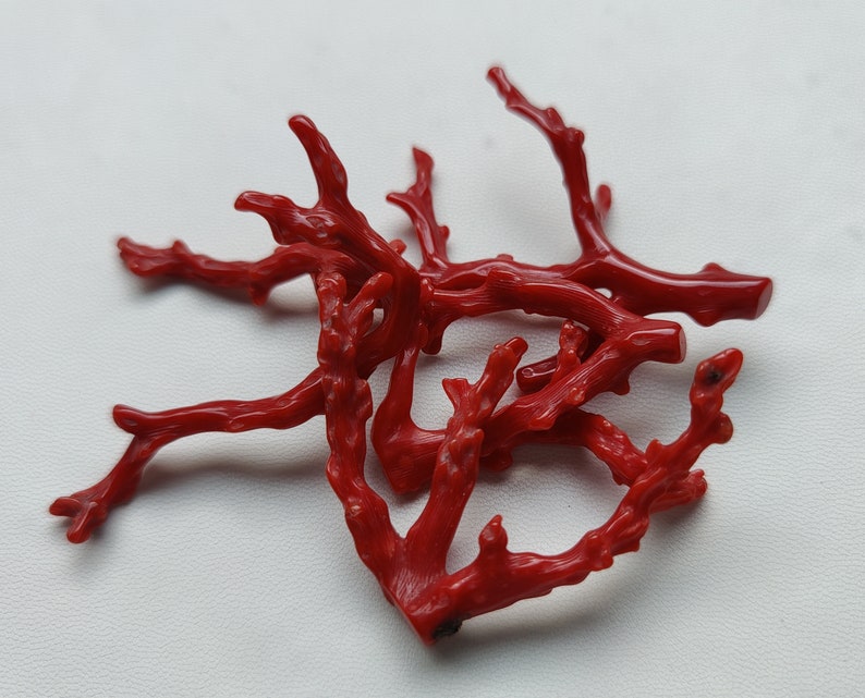 Beautiful 78 Cts 100/% Natural Italian Red Coral Gemstone Loose Branch Polished AAA Quality Coral Stick Smooth Gemstone 55x35--26x40 MM X222