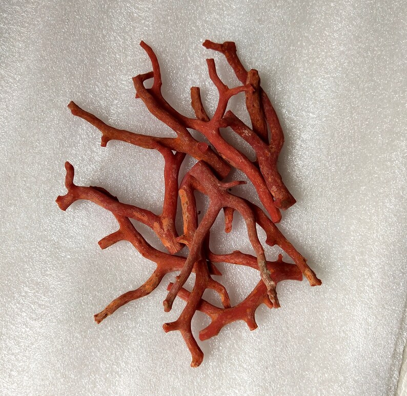 155 Cts 100/%Natural Italian Coral Stick Gemstone Loose Beads Non Polished Stick Beads Jewelry Coral Cabochon Coral Stone Natural Coral B142