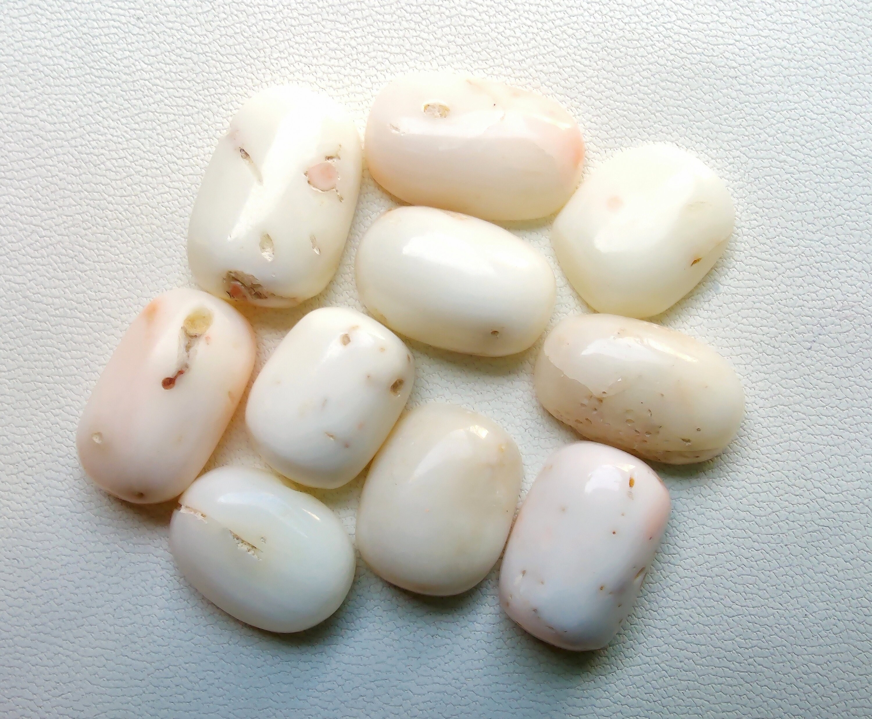 100% Natural Japanese Coral Gemstone AA Quality Milky White - Etsy