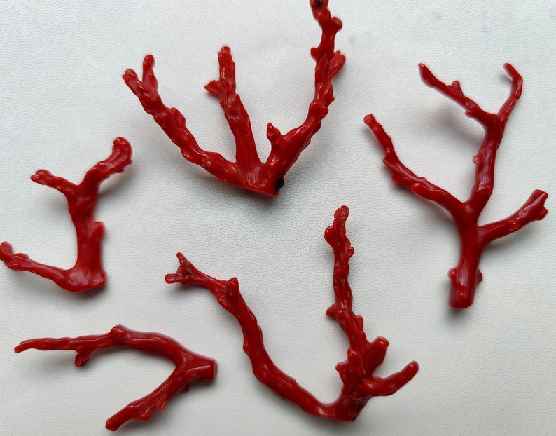 Beautiful 78 Cts 100/% Natural Italian Red Coral Gemstone Loose Branch Polished AAA Quality Coral Stick Smooth Gemstone 55x35--26x40 MM X222