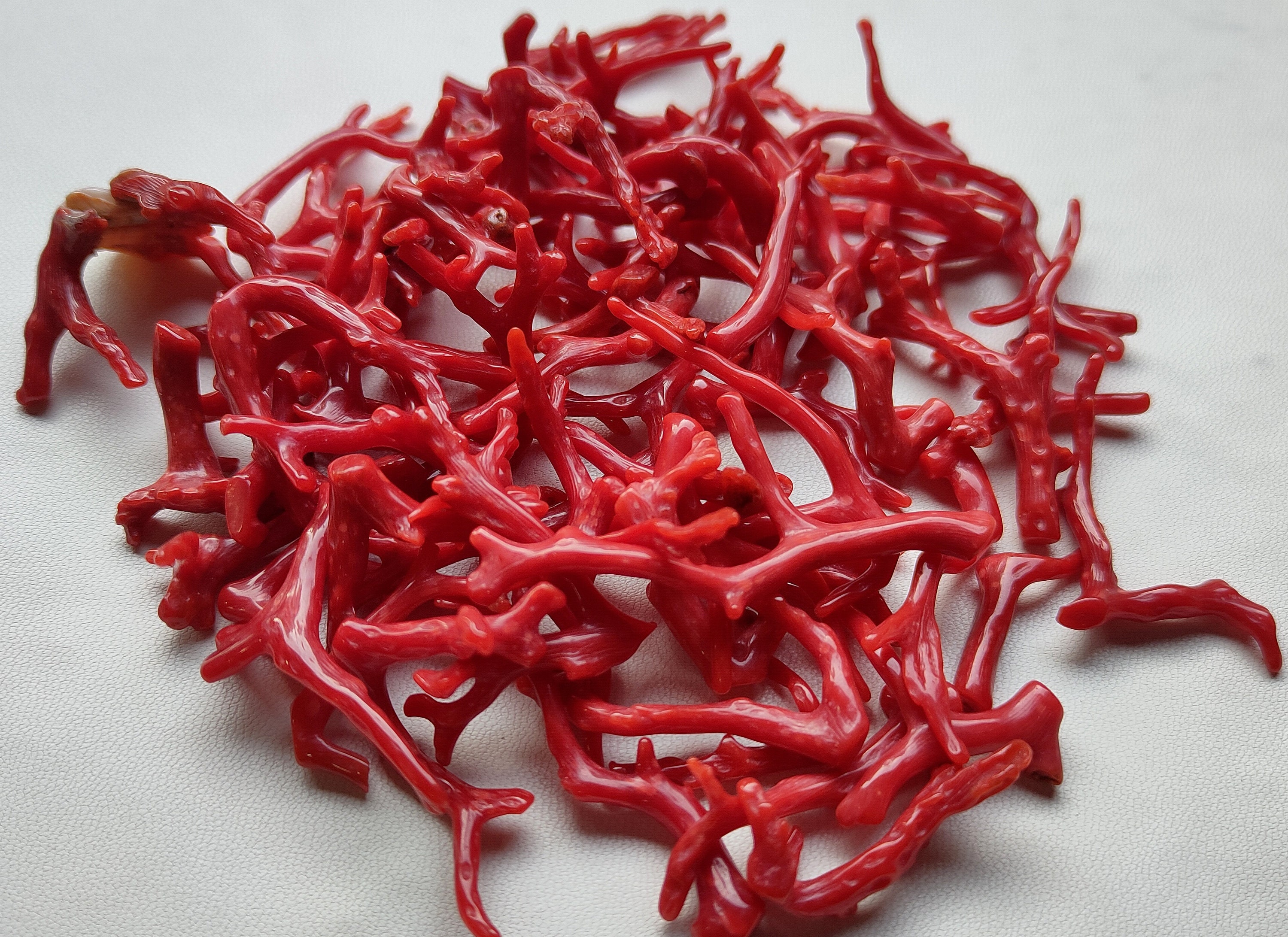 Red Coral 100% Italian Red Coral Gemstone Loose Branch - Etsy