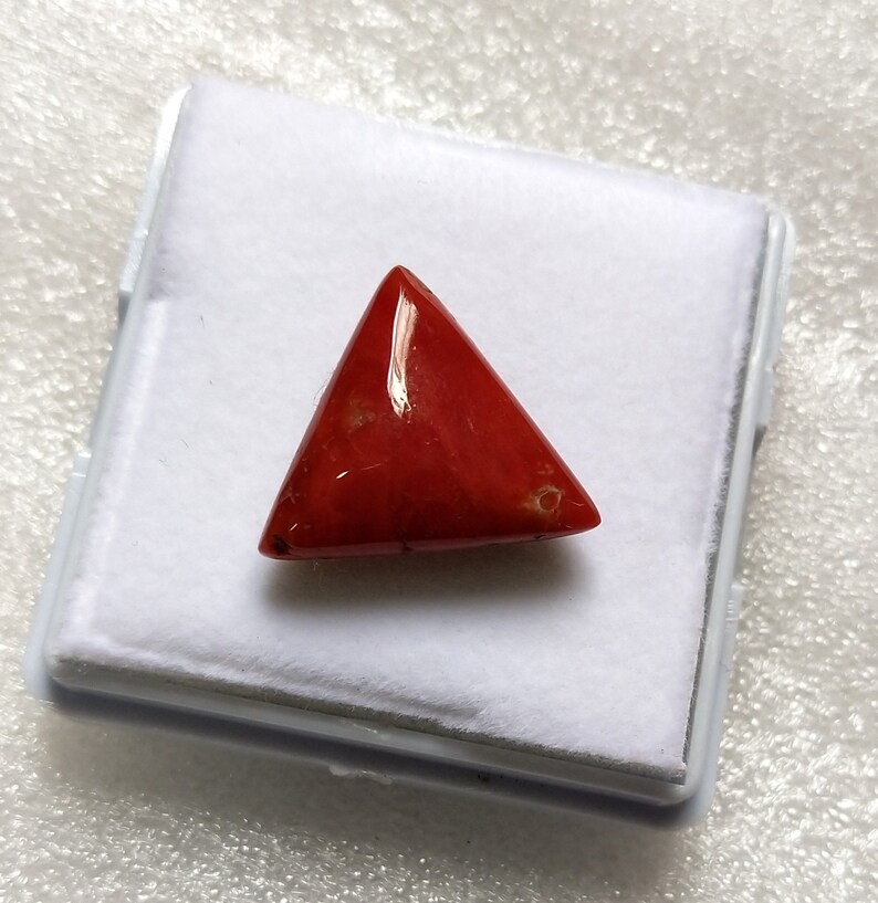 BIGG SIZE 100/%Coral Cabochon Gemstone Italian Coral pendant Coral Jewelry 11 Cts 16x16 MM Natural Coral Stone Coral Trillion Shape B85