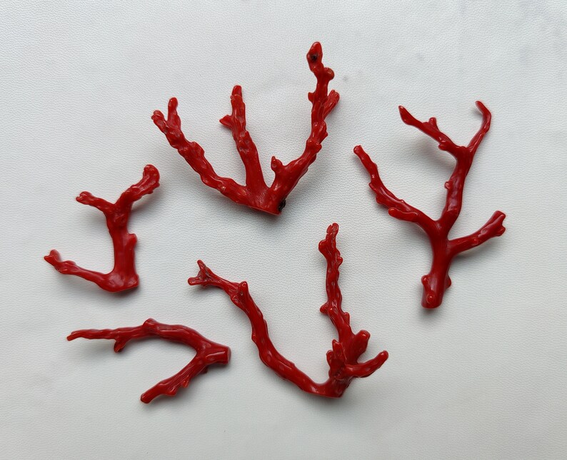 Beautiful 78 Cts 100/% Natural Italian Red Coral Gemstone Loose Branch Polished AAA Quality Coral Stick Smooth Gemstone 55x35--26x40 MM X222